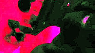 Yo, spotted her at the bus stop, and just two hours later, she’s on her knees sucking me off like crazy.