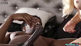 Paisley Porter, a straight A student, enjoys an intense encounter with a well-endowed black partner