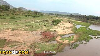 African beauty gets her pussy wrecked in public